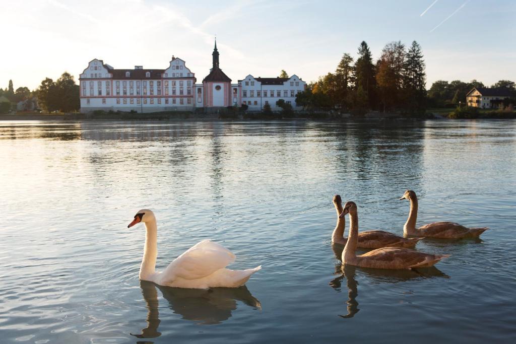 Gesundheitshotel Gugerbauer Schärding Eksteriør billede